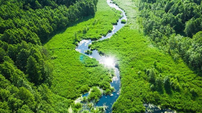 Luftaufnahme aus der Natur mit einem Fluss